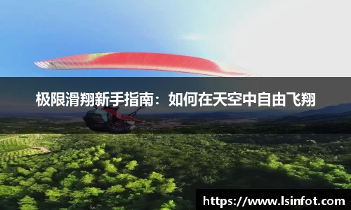 极限滑翔新手指南：如何在天空中自由飞翔